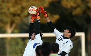 علیرضا حقیقی گزینه اول جانشینی بیرانوند