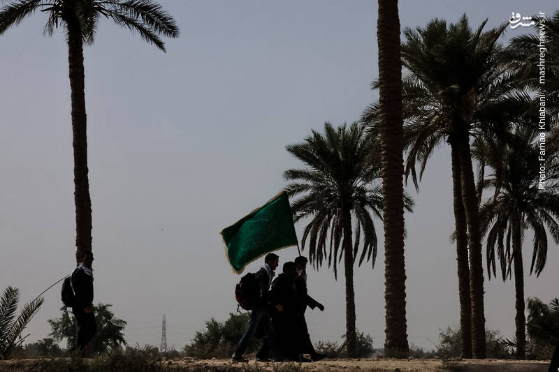 عکس/ پیاده‌روی زائرین در جاده “شط فرات”