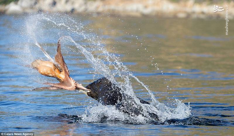 فُک شکارچی!