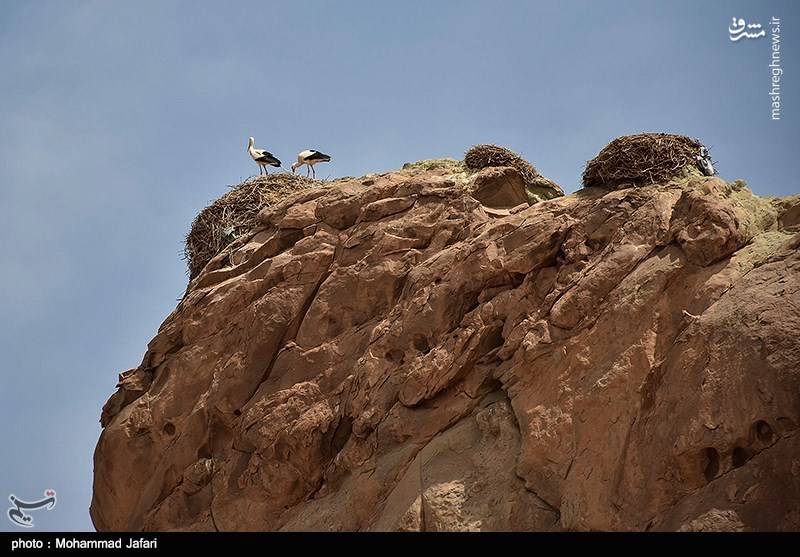 قلعه لک لک‌ها در زنجان