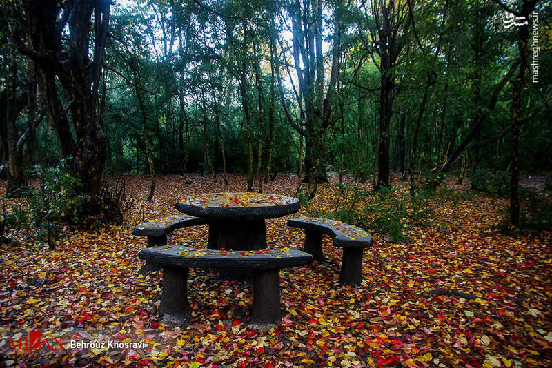 طبیعت زیبای پاییزی در مازندران