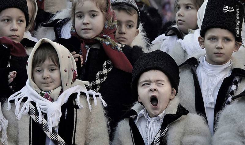 برندگان مسابقه عکاسی «سی ینا»