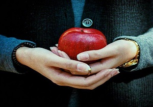 بهترین ماسک‌هایی خانگی برای مو سر