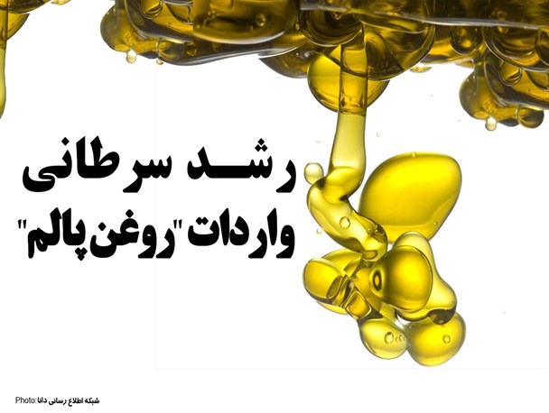 چرا واقعیت روغن پالم برای مردم بیان نمی شود؟ افزایش ۳۶ درصدی واردات روغن پالم در سایه ممنوعیت آن/ واردات “پالم” هر سال بیشتر از پارسال! +جدول