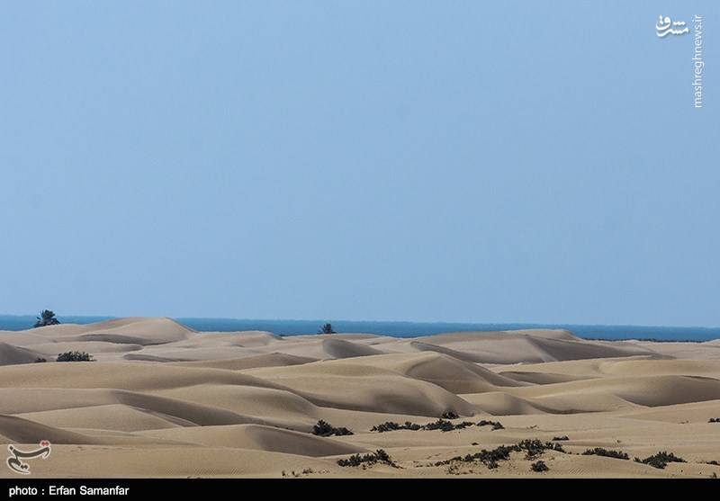 حتما به “دَرَک” بروید