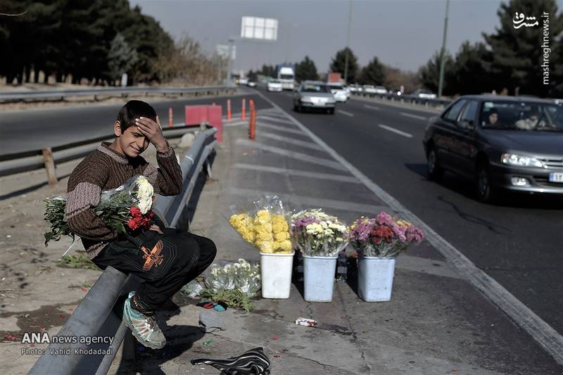 از «گُل» می‌شود «نان» درآورد