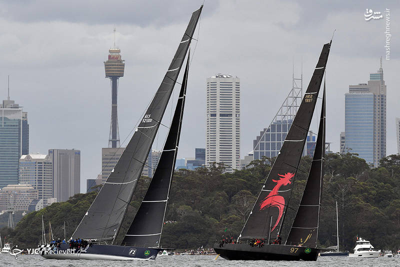 مسابقات قایقرانی سیدنی