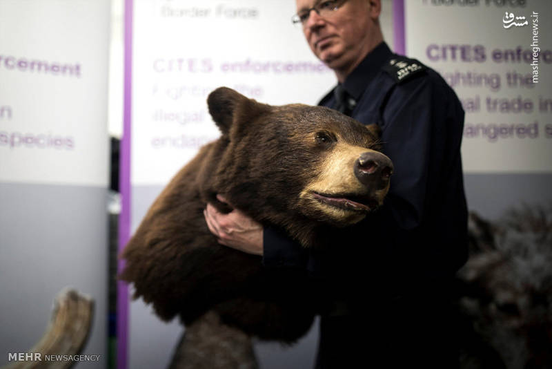 کشف کالاهای قاچاق در فرودگاه لندن