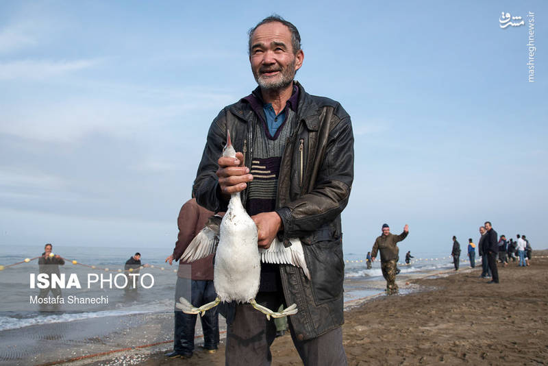 صید ماهی در دریای خزر