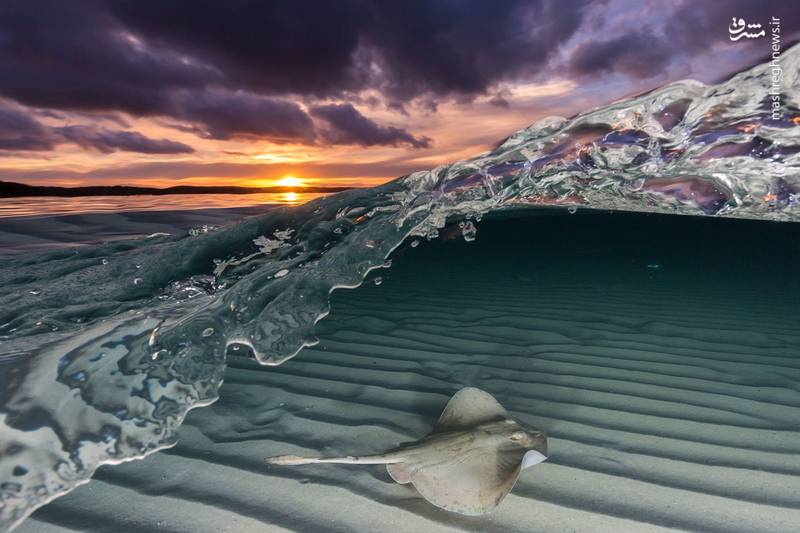 عکس روز نشنال جئوگرافیک