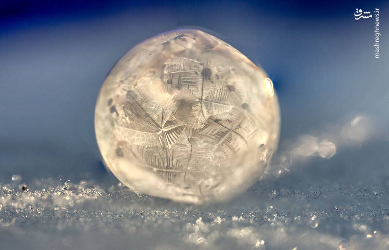 تصاویر زیبا از حباب‌های یخی در زمستان