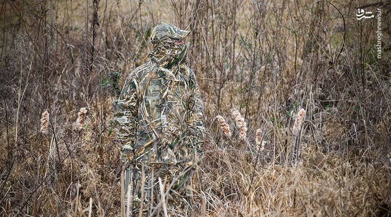 استتارهای فوق‌ العاده در طبیعت