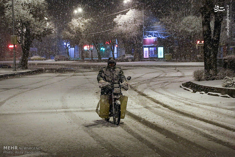 مهمان زمستانی همدانی‌ها