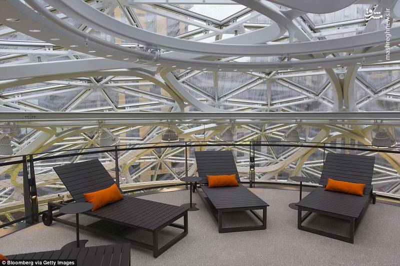 اداره‌ای در میان جنگل