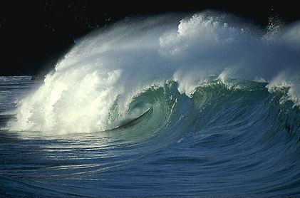 زانو زدن کشتی غول پیکر در مقابل عظمت امواج دریا + فیلم