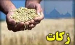 شورای زکات در روستاها تشکیل می‌شود