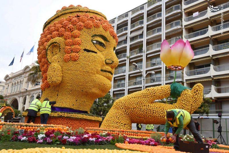 جشنواره مرکبات در فرانسه