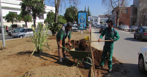 اجرای طرح هر خانه یک درخت در ساری+ تصاویر