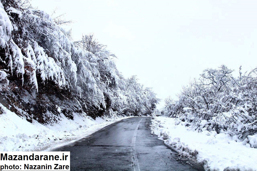 چلاو سپید پوش به روایت تصویر