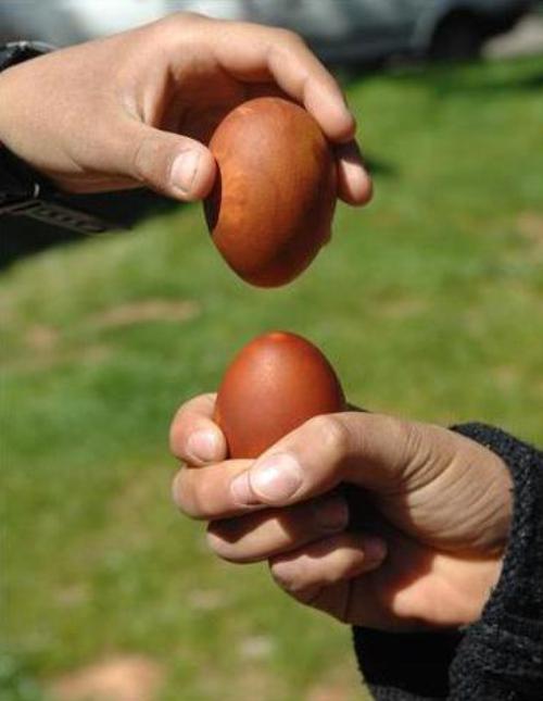 مــرغنه جـنگی