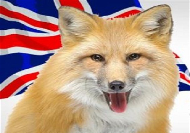 تصویب فروش ۴۲ میلیون دلار نرم‌افزار جاسوسی به «رژیم‌های غرب آسیا» در انگلیس