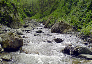 دست بی فرهنگی روی شریان‌های حیاتی طبیعت + فیلم