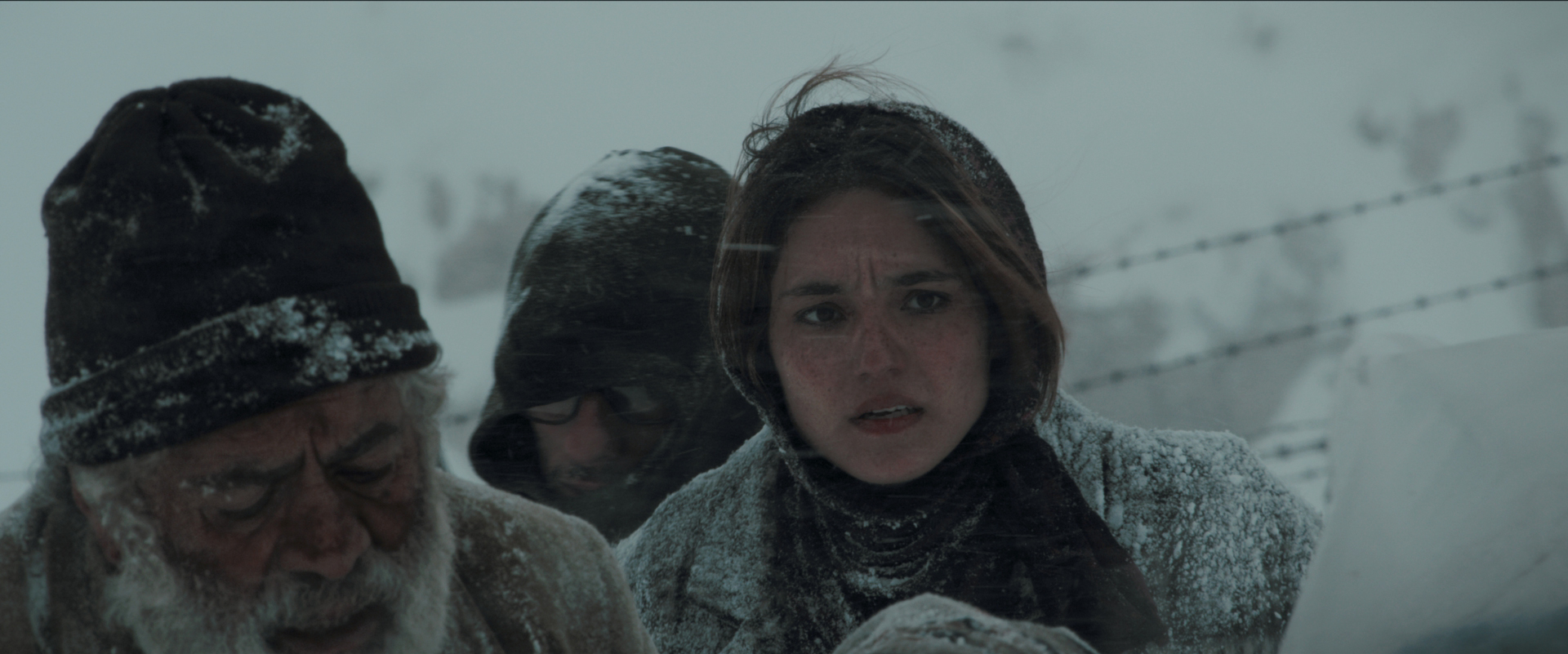 «دایان» در جشنواره جهانی فجر روی پرده می‌رود