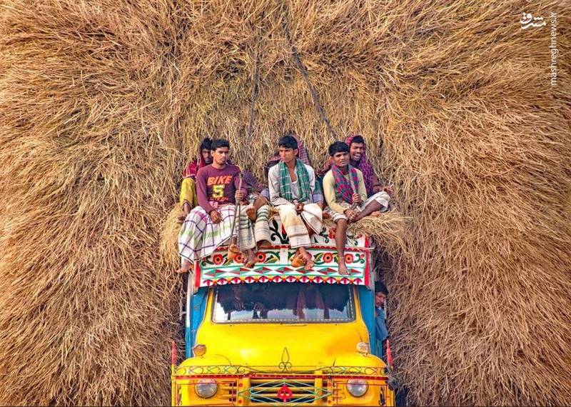 لقمه بزرگتر از دهان