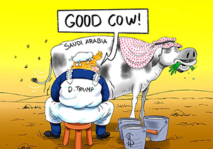 خوشحالی گاوهای شیرده از اقدام آمریکا + فیلم