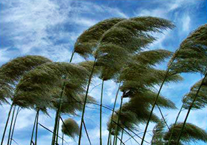 اتصالی کابل‌های برق بر اثر طوفان شدید در تهران + فیلم