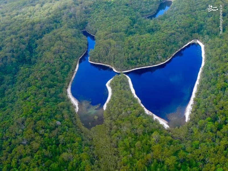 دریاچه پروانه‌ای