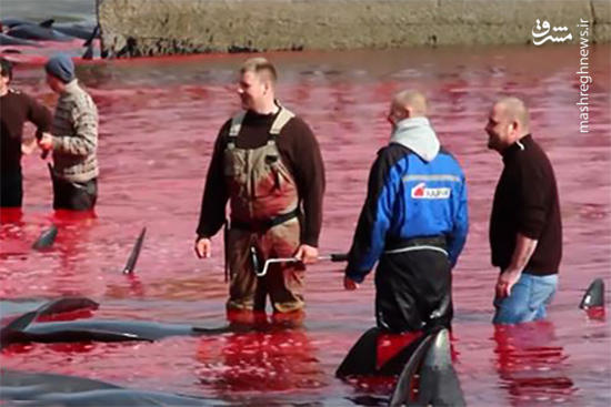 فیلم/ روایت کشتار وحشیانه در شادترین کشور دنیا!