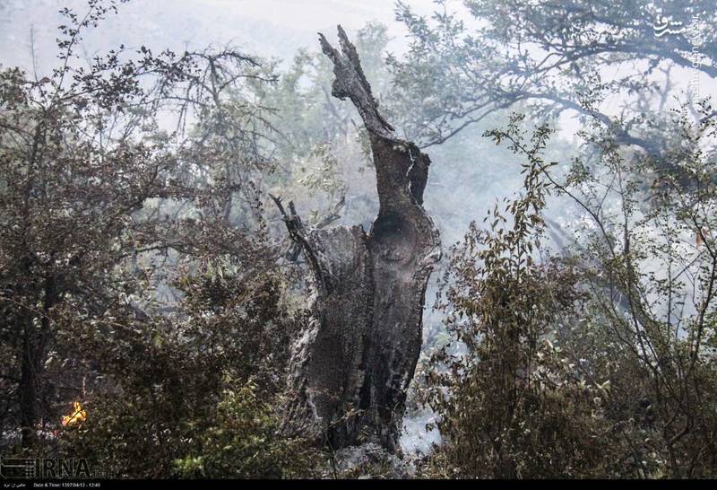 گسترش حریق در پارک ملی گلستان