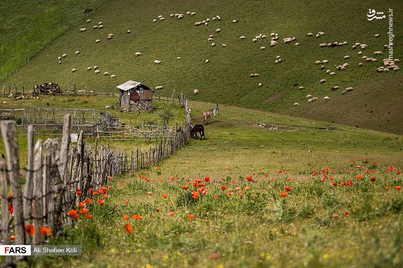 طبیعتی شگفت‌انگیز میان گیلان و اردبیل