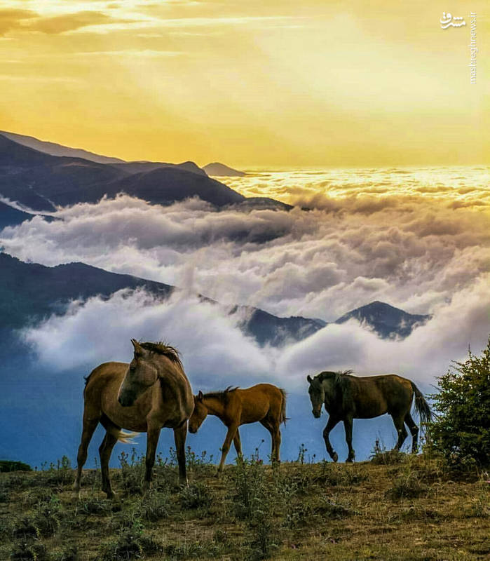 منظره‌ای زیبا در مازندران