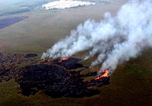 دود در آسمان استان خوزستان به دلیل آتش سوزی تالاب هورالعظیم در عراق + فیلم