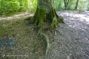 دریاچه ارواح