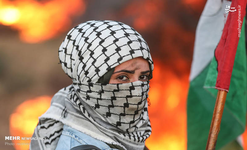 عکس/ ۲۵ هفته اعتراض در غزه‎