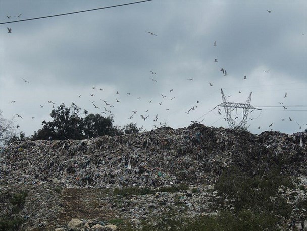 دل پُرخون دریای خزر از اشک سیاه زباله‌ها/ پسماندهایی که همچنان مدیریت نمی‌شوند/ شیرابه‌های زباله نفس‌ خزر را گرفت+ تصاویر