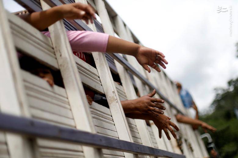 عکس/ هجوم پناهجویان هندوراسی به سمت آمریکا