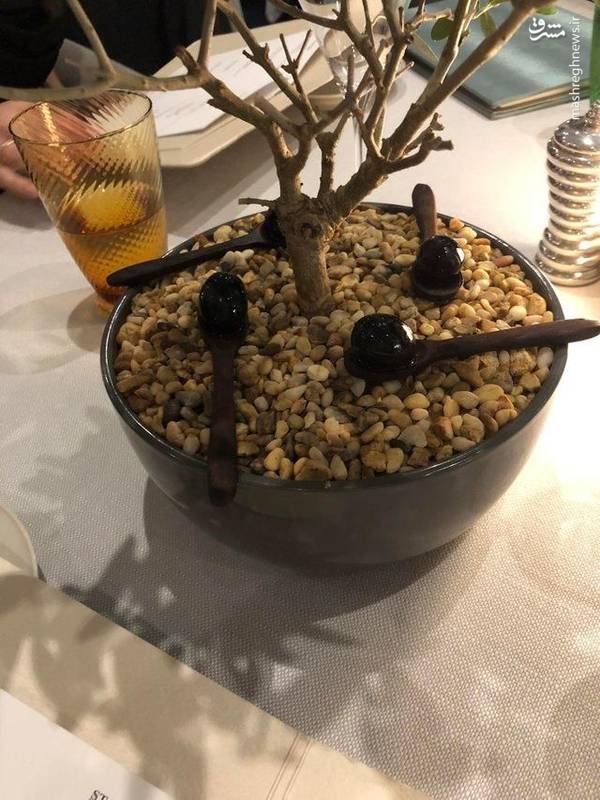 عکس/ عجیب ترین رستوران‌های دنیا