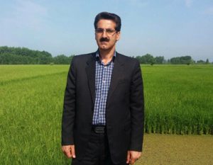 توزیع ۲۱۸ تن سبوس گندم یارانه دار در محمودآباد