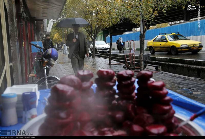 عکس/ ادامه بارش باران پاییزی در تهران