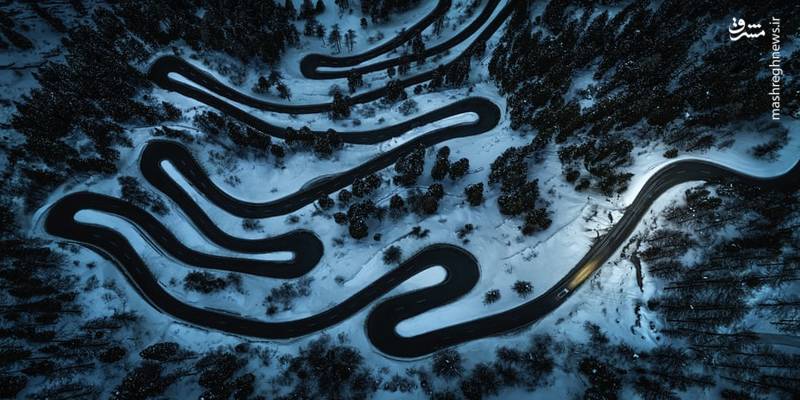 عکس/ برندگان مسابقه عکاسی اپسون پانو‎