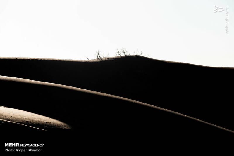 اوج زیبایی در سکوت این کویر