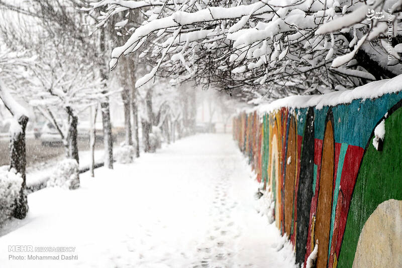 عکس/ بارش اولین برف زمستانی در اردبیل