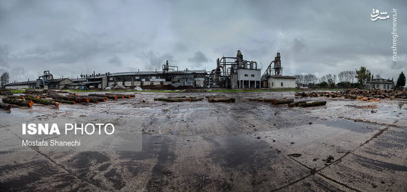 تعطیل شدن کارخانه‌ «نکا چوب» با ۴۰۰ کارگر