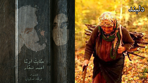 حضور فیلمسازان مازندران در جشنواره  سینما حقیقت