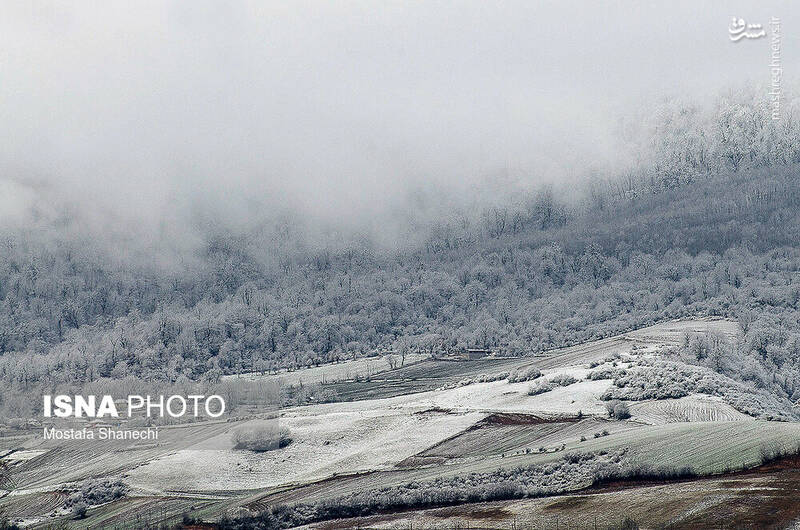 عکس/ طبیعت برفی دودانگه
