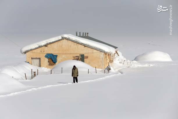 عکس/ بارش سنگین برف در «حکاری» ترکیه